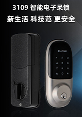 3109智能電子呆鎖